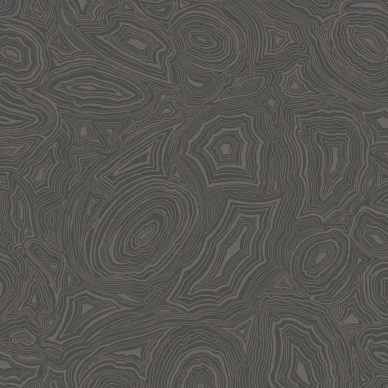 Malachite musta kuviollinen tapetti Cole et Sonilta 114 6012 image