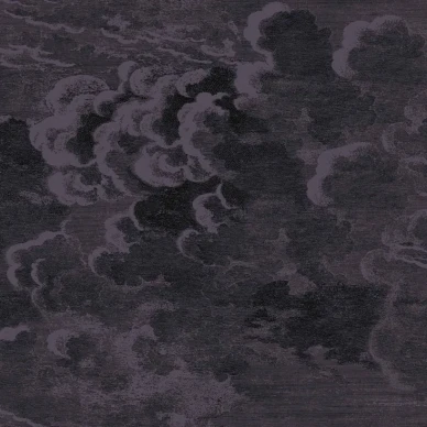 Cole & Son Nuvolette tapet Midnight image