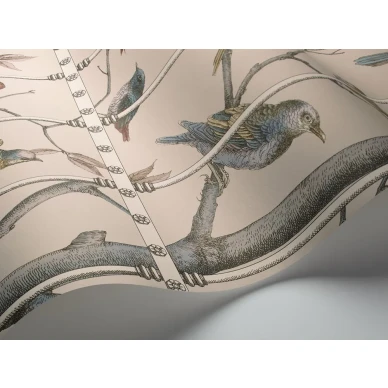 Cole & Son Uccelli tapet image
