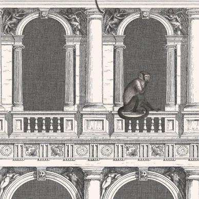 Cole & Son Procuratie e Scimmie tapet image