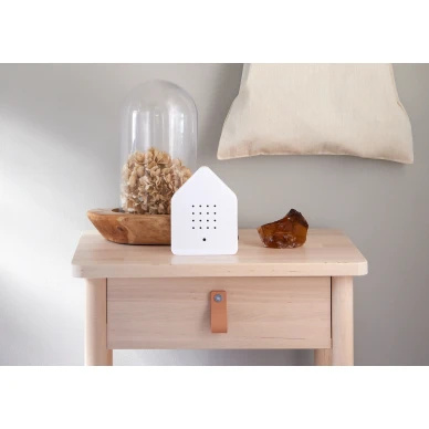 Linnunaani tervehtii eteisessa Zwitscherbox peiteaanilaatikko image