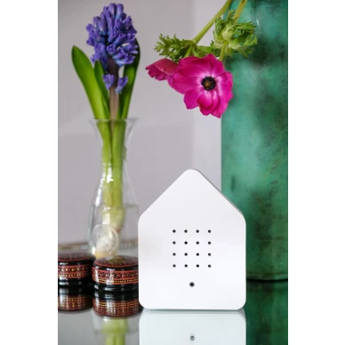 Täckljudbox med fågelkvitter image