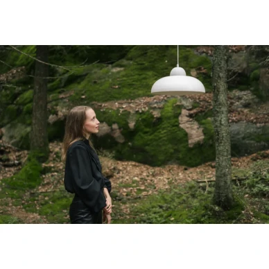 Napa riippuva kattovalaisin image