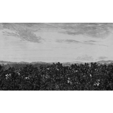 Oak View tumma maisematapetti Sandbergilta image