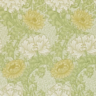 Chrysanthemum vihrea kukkatapetti Morris Pale Olive image