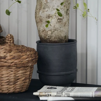 Ground Planter korkea betoniruukku House Doctorilta image