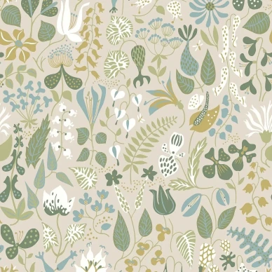 1371 StigLindberg Herbarium Closeup image