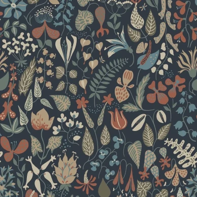 1372 StigLindberg Herbarium Closeup image