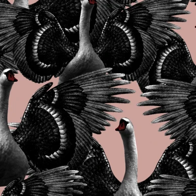 Swan Lake roosa joutsentapetti Studio Lisa Bengtsson image