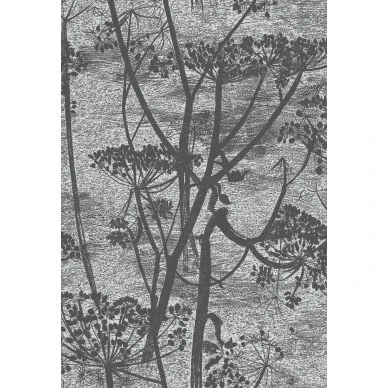 Cow Parsley harmaa musta kasvitapetti Cole et Sonilta image