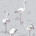 Flamingos harmaa lintutapetti Cole Sonilta