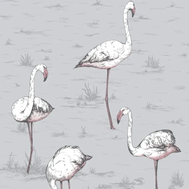 Flamingos harmaa lintutapetti Cole Sonilta image