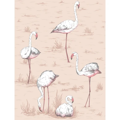 Flamingos vaaleanpunainen kiva lintutapetti Cole Sonilta image