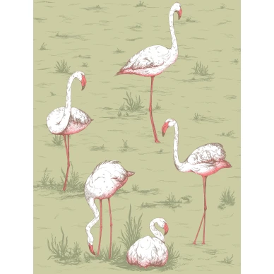 Flamingos vihrea kiva lintutapetti Cole Sonilta image