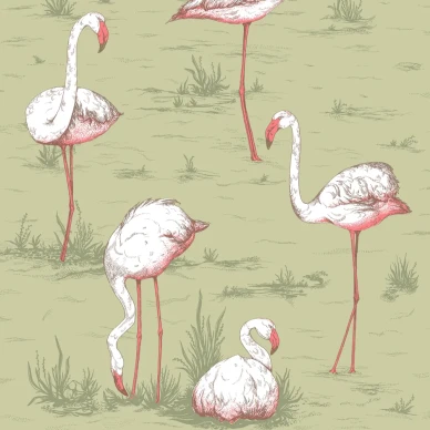 Flamingos vihrea lintutapetti Cole Sonilta image