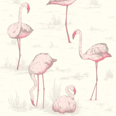Flamingos valkoinen lintutapetti Cole et Sonilta image