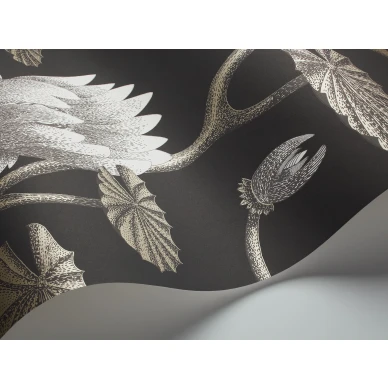 Summer Lily musta kukkatapetti metallivareilla Cole et Sonilta 95 4026 image