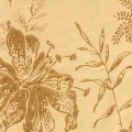 Lilja kulta beige kukkatapetti Pihlgren ja Ritolalta 69773
