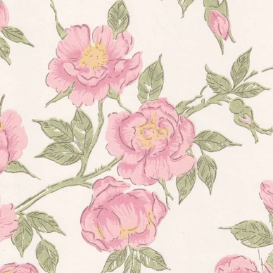 Juhannusruusu roosa kukkatapetti Pihlgren ja Ritolalta 69276 image