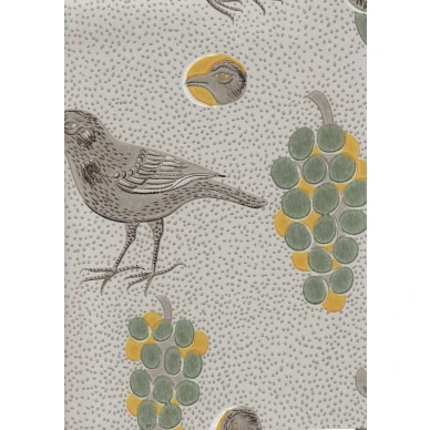 Birger Kaipiainen Ken Kiuruista Kaunein vihrea keltainen lintutapetti Pihlgren ja Ritolalta 64672 image