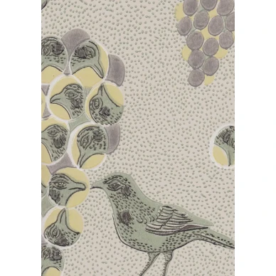 Birger Kaipiainen Ken kiuruista kaunein harmaa lintutapetti Pihlgren ja Ritolalta 64671 image