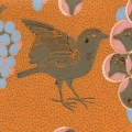 Ken Kiuruista Kaunein oranssi lintutapetti Pihlgren ja Ritolalta 64675