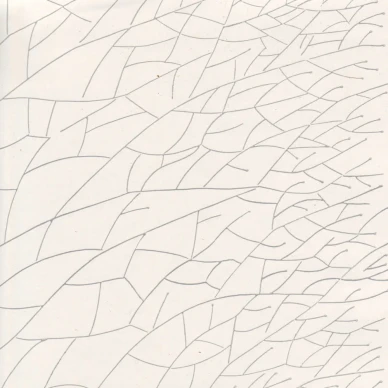 Erik Bruunin Linneus valkoinen graafinen retrotapetti Pihlgren ja Ritolalta 69772 image