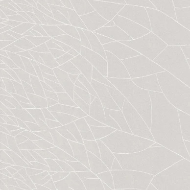 Linneus harmaa graafinen klassikkotapetti Pihlgren ja Ritolalta 64610 image