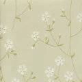 Niittyleinikki vihrea kukkatapetti Pihlgren ja Ritolalta 69199