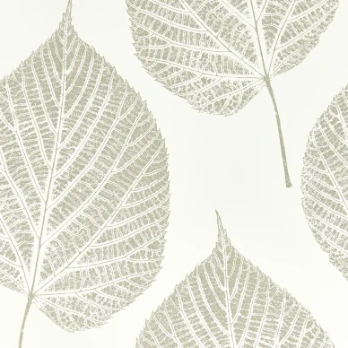 Leaf valkoinen hopea lehtitapetti Harlequinilta 112609 image