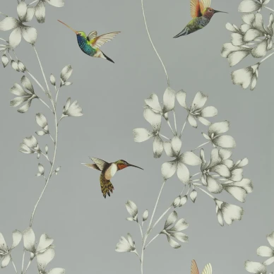 Amazilia harmaa lintutapetti Harlequinilta 112605 image