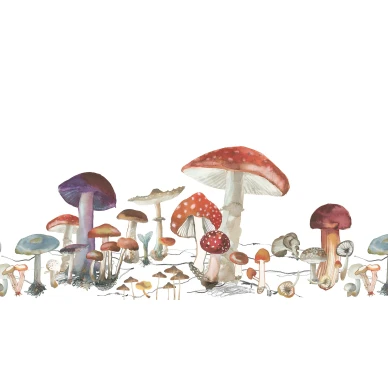Woods of Wonder leikkimielinen sienitapetti koko kuvio Rebel Wallsilta R14481 image
