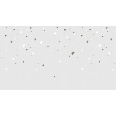 Stargazing vaalea tahtitapetti Rebel Wallsilta koko kuvio R14572 image