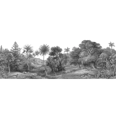 Jungle Land mustavalkoinen viidakkotapetti koko kuvio Rebel Wallsilta R14612 image