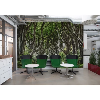 Magical Alley maaginen vihrea metsapolkutapetti kokoushuoneeseen Rebel Wallsilta R15251 image