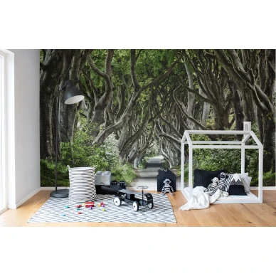 Magical Alley maaginen vihrea metsapolkutapetti muraltapetti lapsille Rebel Wallsilta R15251 image