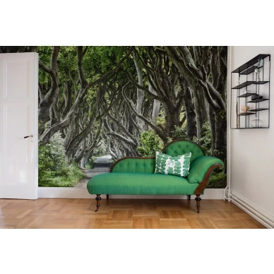 Magical Alley mielikuvituksellinen vihrea metsapolkutapetti olohuoneeseen Rebel Wallsilta R15251 image