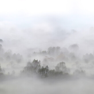Morning Fog harmaa aamuinen maisematapetti Rebel Wallsilta R15301 image