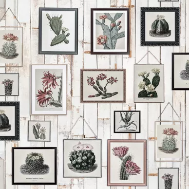 Cactus Wall Art kaktustapetti Rebel Wallsilta R15322 image