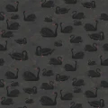 Cygne Noir musta joutsentapetti Rebel Wallsilta R17121