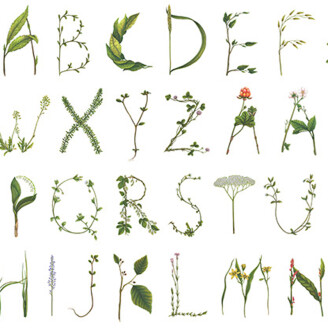 Floral Alphabet vihreavalkoinen kirjaintapetti Rebel Wallsilta R13195 image