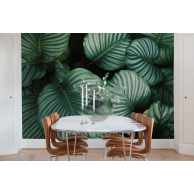 Beetle Valley suurikuvioinen vihrea lehtitapetti ruokailuhuoneeseen Rebel Wallsilta R15831 image