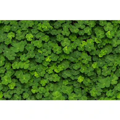 Clover vihrea apilatapetti koko kuvio Rebel Wallsilta R15841 image