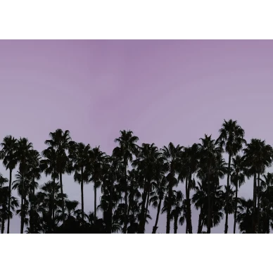 Riviera Daydream liila musta palmutapetti koko kuvio Rebel Wallsilta R16052 image