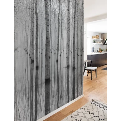 Birch Echo graafinen koivutapetti Rebel Wallsilta R16061 image