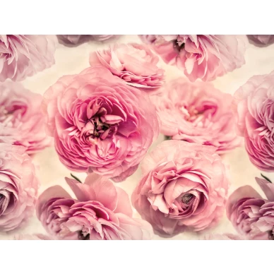 Summer Wind mahtava suurikuvioinen roosa kukkatapetti koko kuvio Rebel Wallsilta R13091 image