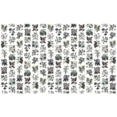 Fruit and Flora klassinen kukkatapetti koko kuvio Rebel Wallsilta R13172 image