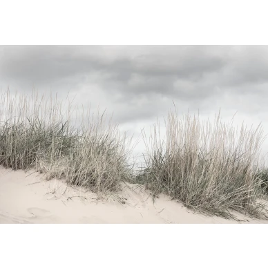 Pale Shore pilvinen hiekkavalokuvatapetti koko kuvio Rebel Wallsilta R16341 image