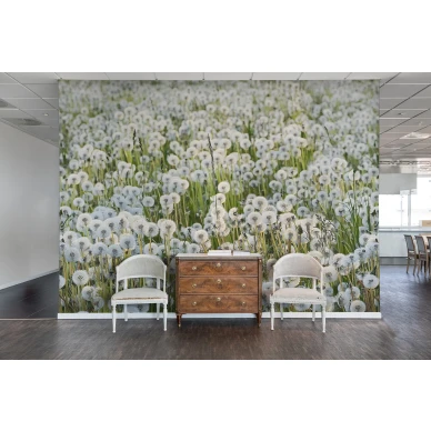 Dandelions voikukka valokuvatapetti eteiseen Rebel Wallsilta R16351 image