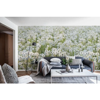 Dandelions voikukka valokuvatapetti olohuoneeseen Rebel Wallsilta R16351 image